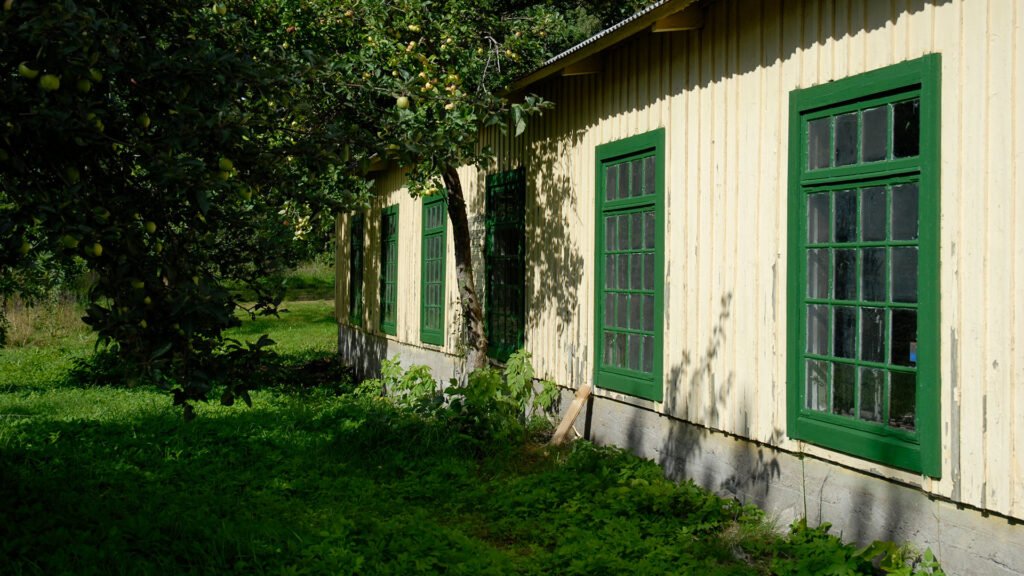 En husvägg, gulputsad med gröna fönster