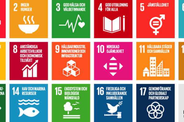 En bild på FNs 17 hållbarhetsmål.