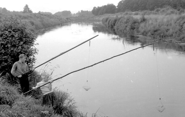 Arkivens dag den 8 november - Regionmuseet deltar på Stadsbiblioteket i Kristianstad